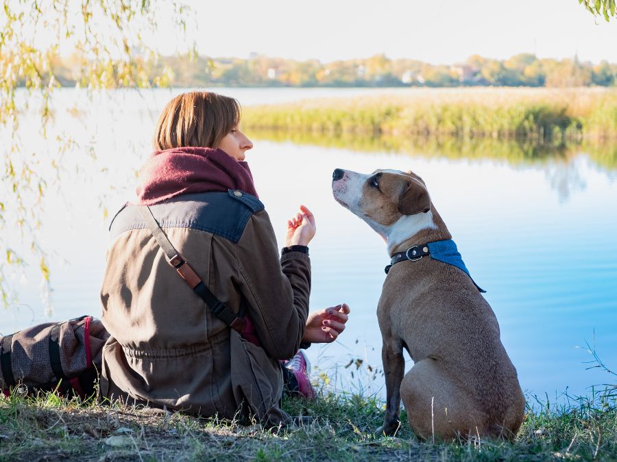 Woman sitting with her dog on the edge of Cedar Lake